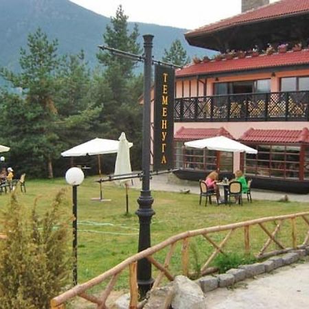 Hotel Temenuga Паничиште Екстер'єр фото