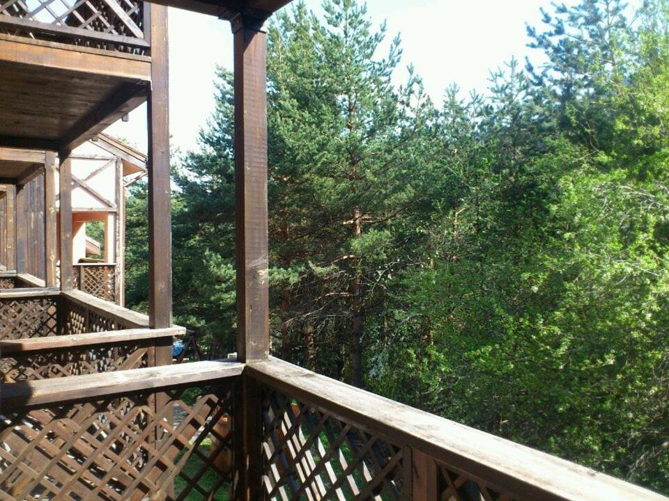 Hotel Temenuga Паничиште Екстер'єр фото