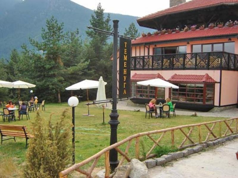 Hotel Temenuga Паничиште Екстер'єр фото